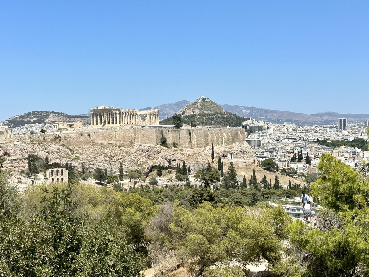 Grèce Athènes voyage avec son chien Prendre l'avion