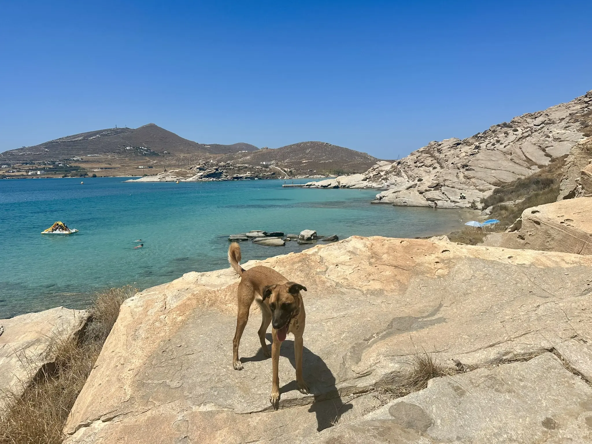 Grece – Paros – Plage Perikopetra_1