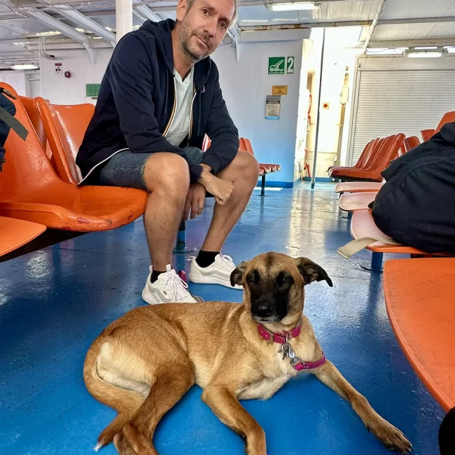 Grèce voyage avec son chien