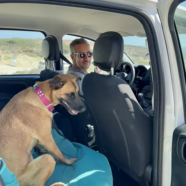 Grèce voyage avec son chien