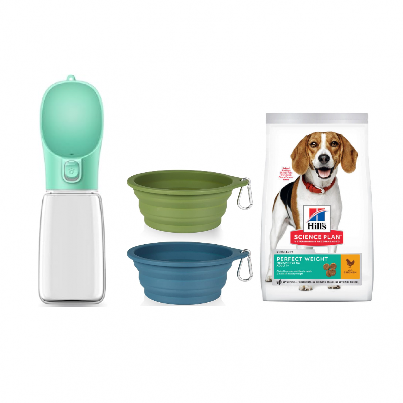 Les indispensable pour voyage avec son chien