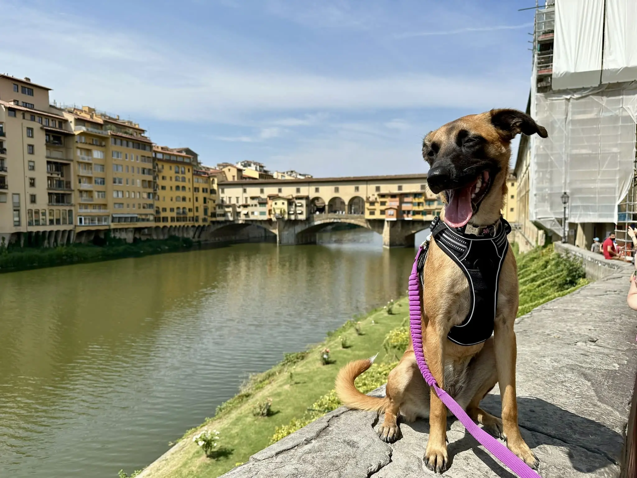 Italie Toscan voyage en van
