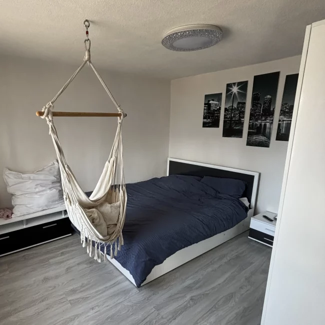 Voyager avec son chien bulgarie restaurant logement