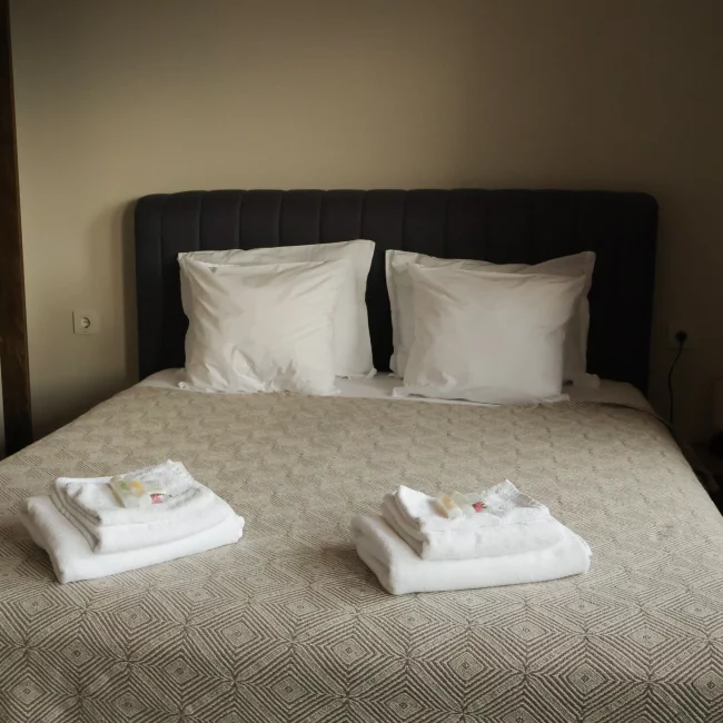 Voyager avec son chien bulgarie restaurant logement