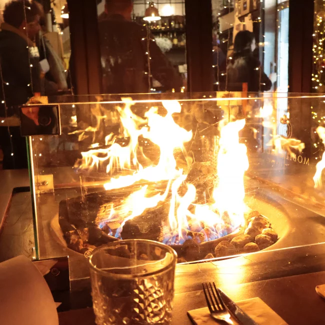 Voyager avec son chien bulgarie restaurant logement