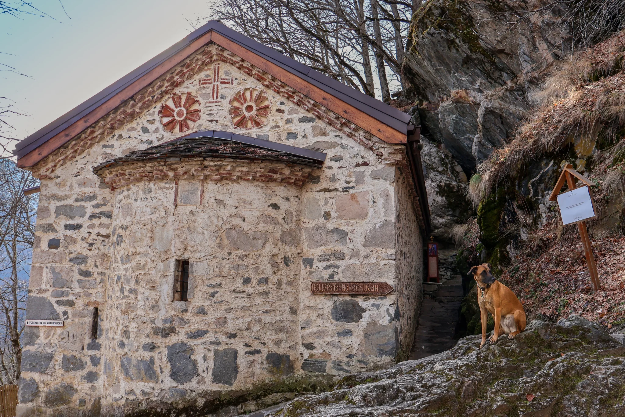 Voyage avec son chien bulgarie Sofia rila monastere prendre l'avion